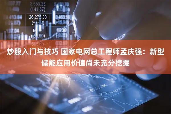 炒股入门与技巧 国家电网总工程师孟庆强：新型储能应用价值尚未充分挖掘