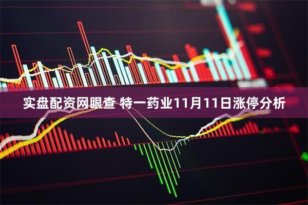 实盘配资网眼查 特一药业11月11日涨停分析
