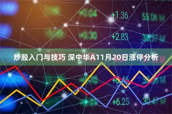 炒股入门与技巧 深中华A11月20日涨停分析